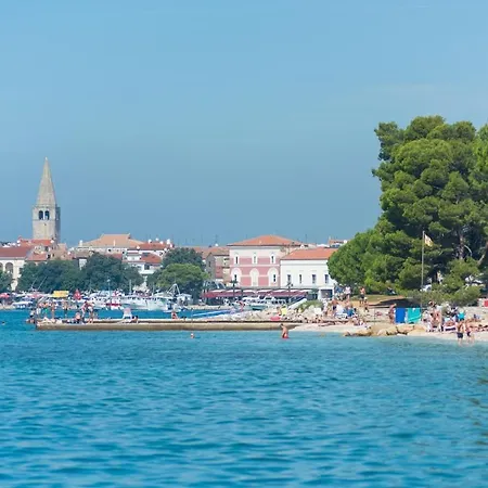 Milohanic Luxury